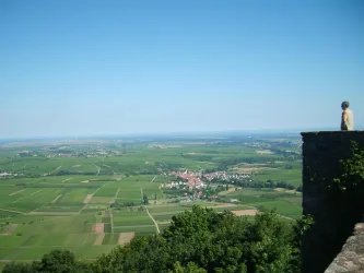 Blick von der Madenburg nach Göcklingen (© B. Eck)