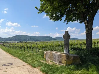 Mosers Brunnen