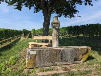 Auf der Bank dem Plätschern des Brunnens zuhören