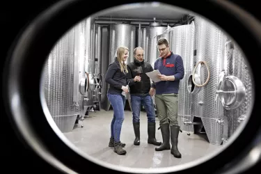 Im Weinkeller (© Wein- und Sekthaus Volker und Bernd Schreieck)