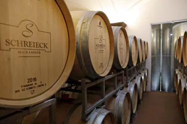 Holzfasskeller (© Wein- und Sekthaus Volker und Bernd Schreieck)