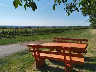 Am Ortseingang -  Maikammer (© Büro für Tourismus Maikammer)