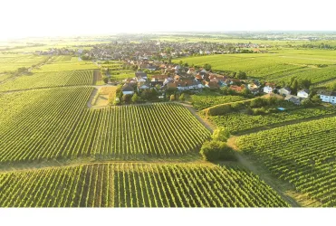 alsterweiler-maikammer