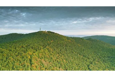 blick-auf-kalmit