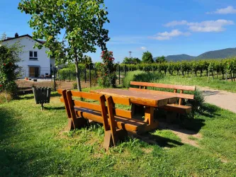Im Letten - Maikammer (© Büro für Tourismus Maikammer)