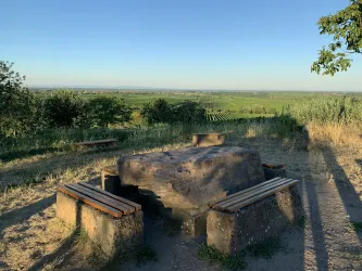 Blick vom Heiligenberg (© Büro für Tourismus Maikammer)