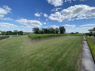Wiese beim Weingut Faubel (© Weingut Faubel)