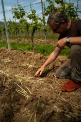 Steffen Mugler (© Weingut Schädler)