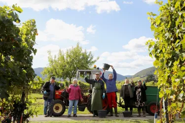 Familie Müller (© Weingut und Edelbrennerei Müller)
