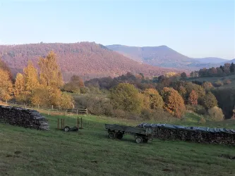 Wiesen und Felder