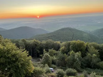 Blick vom Kalmitturm (© Büro für Tourismus Maikammer)