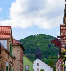 Blick auf die Kalmit (© Bernhard Wingerter)