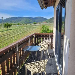 Balkon Richtung Wingert/Pfälzer Wald