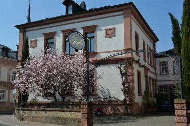Haus (© Weingut & Destillerie Ökonomierat Ziegler)