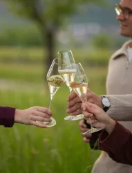 Weingut_Schreieck_1426.jpg