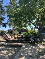 Balancierbaumstämme (© Touristinformation Maikammer)