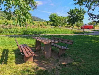 Im Letten - Maikammer (© Büro für Tourismus Maikammer)