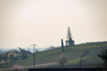2019-03-23_Ferienwohnung_800x534-6930