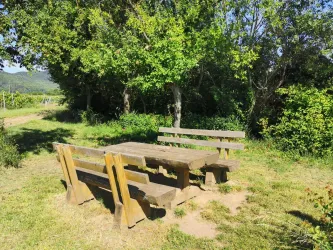 Am Hitschbach (© Büro für Tourismus Maikammer)