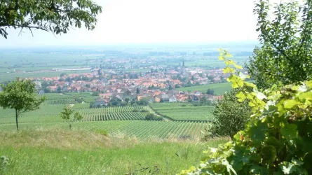 Aussicht