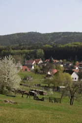 Böllenborn im Frühling (© Goosmann)