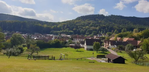 Böllenborn (© Tourismusverein Bad Bergzabern e.V.)
