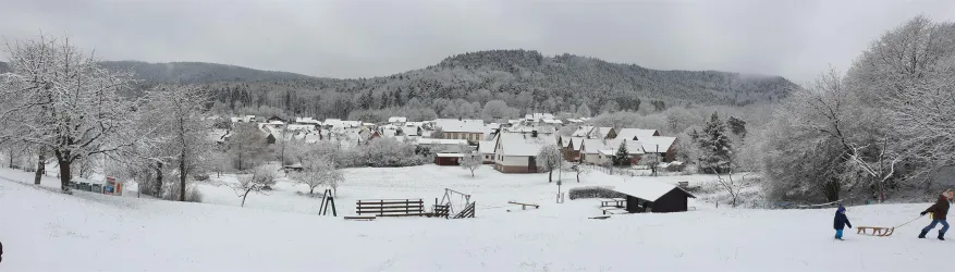 Böllenborn im Schnee (© Tourismusverein Bad Bergzaberner Land e.V.)