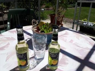 Gemütlicher Ausklang auf der Terrasse (© Michael Roshol)