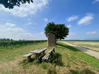 Picknickplatz "Freisitz" Essingen (6)