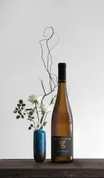 Wine & Design