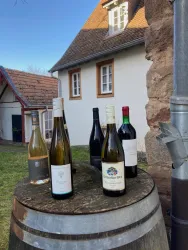 Weintasting (© Weingeniesserei)