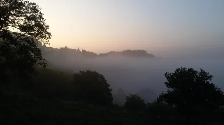 Aussicht Nebel (© Burghof Stauf)