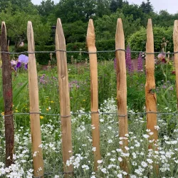Garten (© Burghof Stauf)