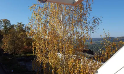 Aussicht aus dem Zimmer (© Burghof Stauf)