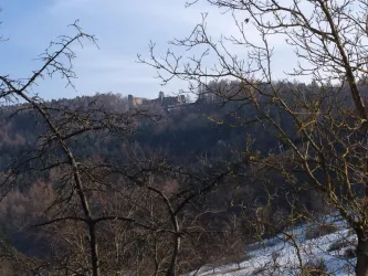 Blick auf Burgruine Neuscharfeneck (© Petra Weißgerber-Bolz)