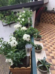 Terrasse_2 (© Petra Weißgerber-Bolz)