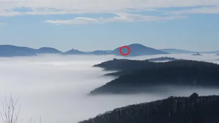 Ramburg im Nebel (© Verein SÜW Annweiler e.V.)