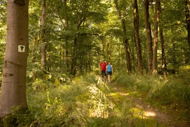 Wandern auf dem keltischen Ringwall (© Donnersberg-Touristik-Verband e.V., Sven Hasselbach)