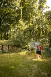 Keltischer Ringwall (© Donnersberg-Touristik-Verband e.V., Sven Hasselbach)