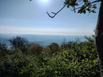 Ausblick vom Hirtenfels (© Donnersberg-Touristik-Verband e.V.)