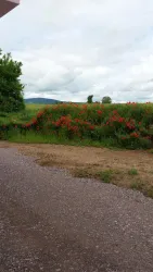 20160531_113958