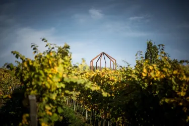 Königsbacher Idig (© Weinland Königsbach-Neustadt GmbH)