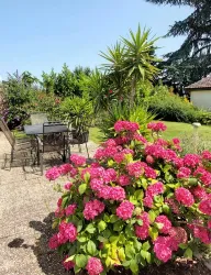 Gartenterrasse