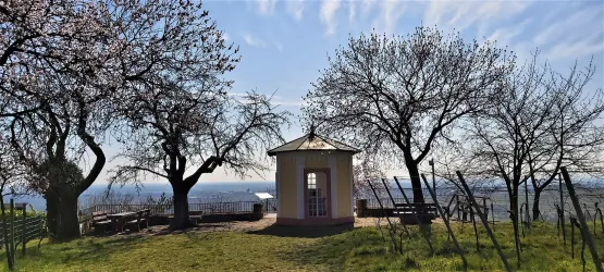 König Ludwig Pavillon