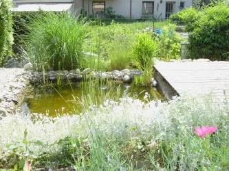 Blick aus der Wohnung