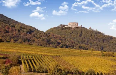 Blick auf das Hambacher Schloss (© Fotolia)