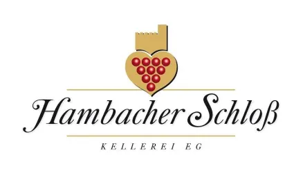 Logo (© HSKeG)