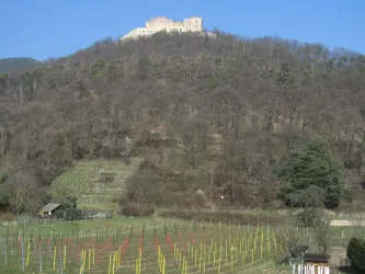 Ausblick zum Schloss - Frühjahr