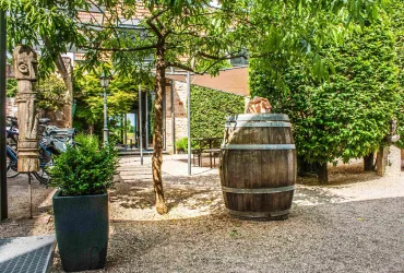 Sommer im Hof