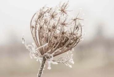 Winter Impressionen